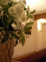 20061203f.jpg