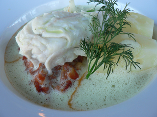 20070410e.jpg