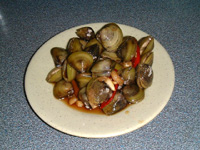 20060210a.jpg