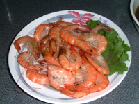 20060210b.jpg