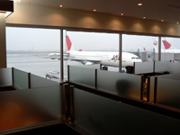 20060323a.jpg