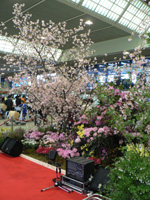 20060329b.jpg