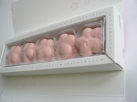 20060330a.jpg