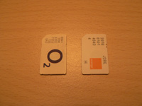 20060430b.jpg