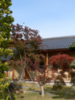 20061119a.jpg