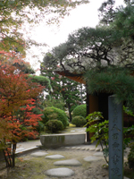 20061119c.jpg
