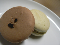 20061122b.jpg