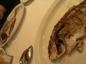 20070314d.jpg