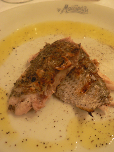 20070314e.jpg
