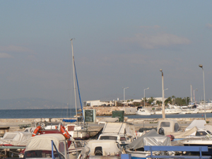 20070315b.jpg